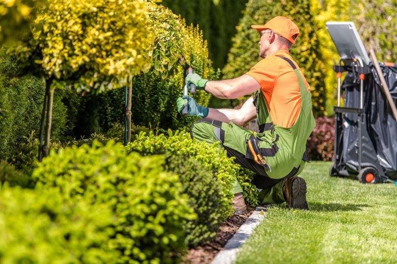 Landscaping And Gardening