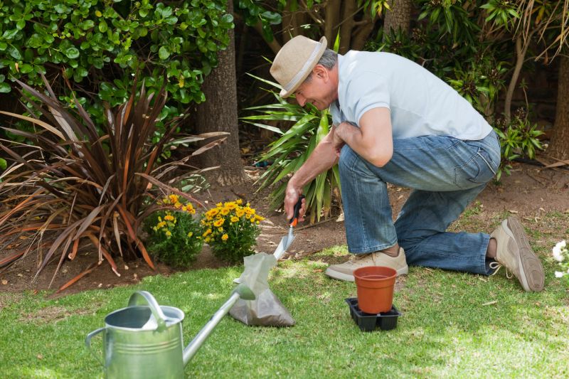 Landscaping And Gardening detail