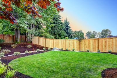 Improve Your Backyard!